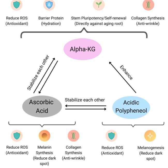 A Skincare Revolution: Golden Triple Actives (GTA) Formulation Targets the Hidden Root Cause of Skin Aging